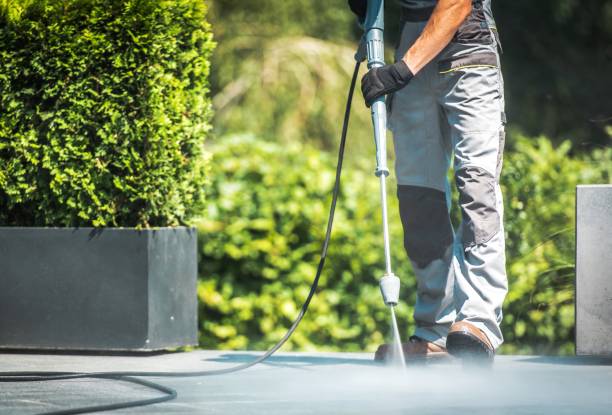 Best Soft Washing for Delicate Surfaces in Des Moines, IA