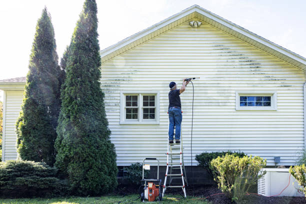 Best Gutter Cleaning and Brightening in Des Moines, IA